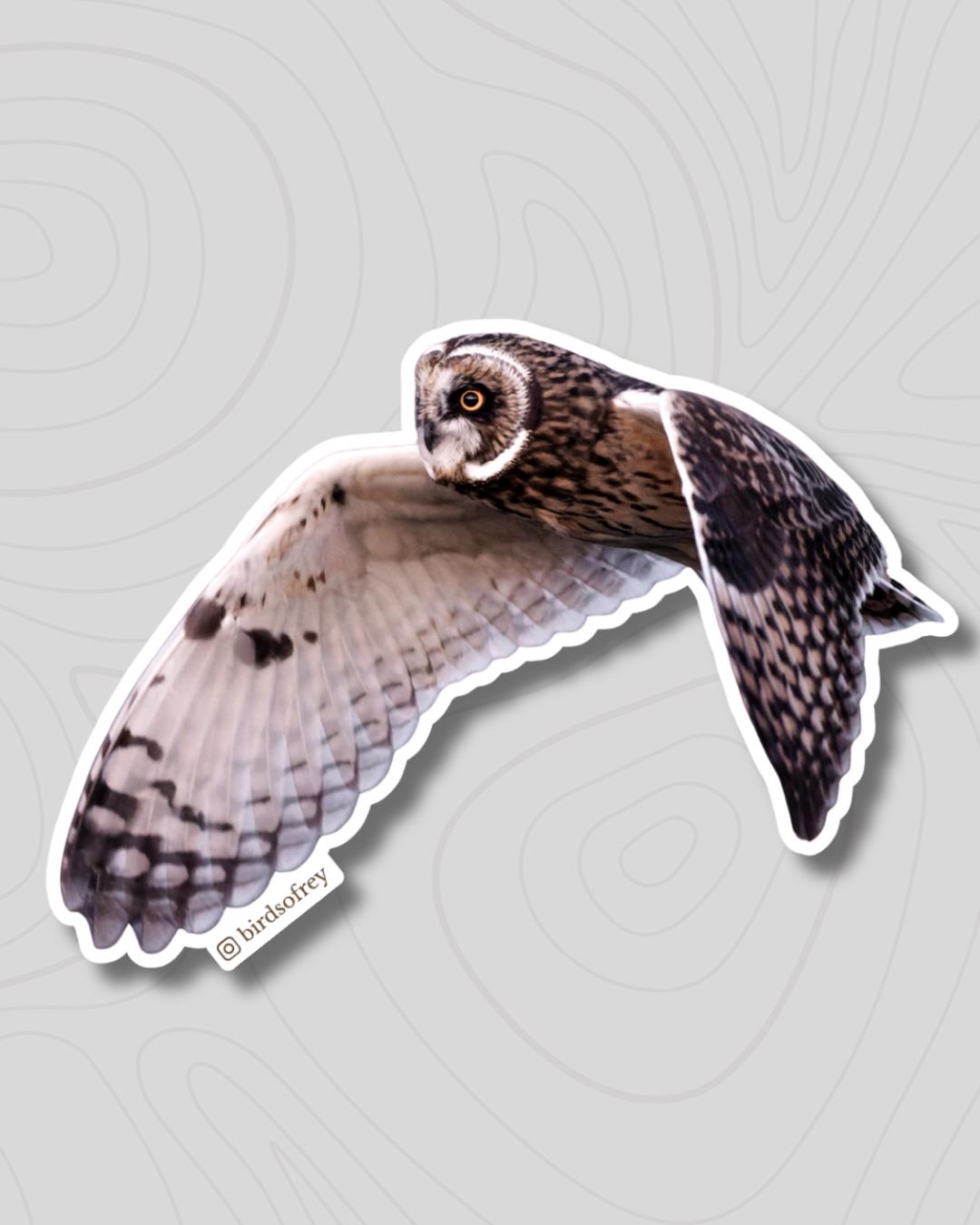 Short-Eared Owl In Flight Sticker
