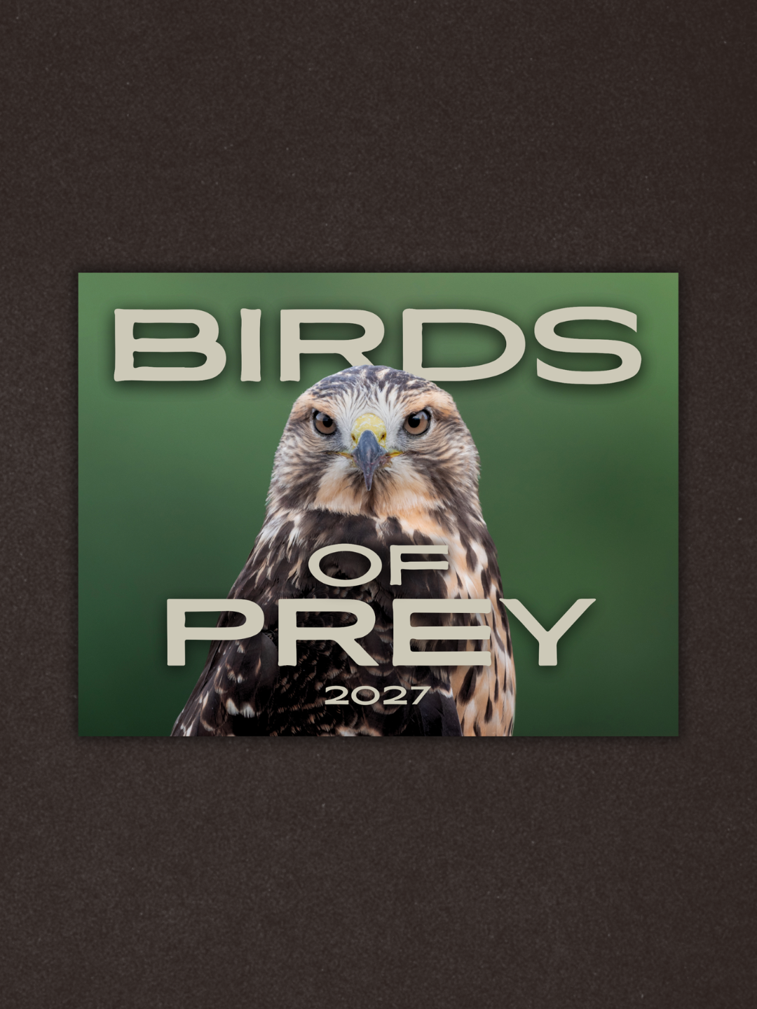 Birds of Prey 2027 Calendar