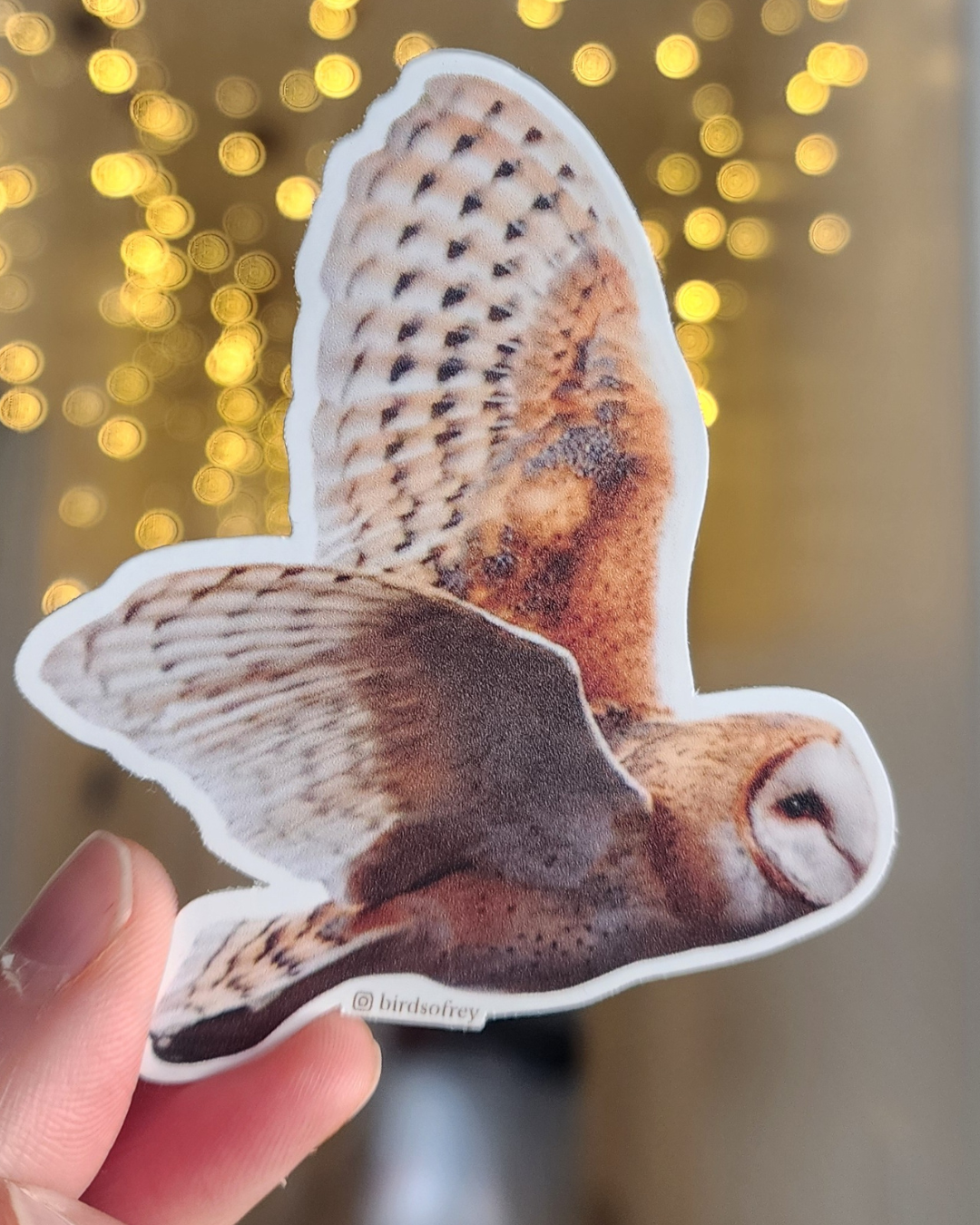 Bird In Flight Sticker Barn Owl In Flight Sticker – Birds of Rey