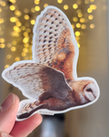 Barn Owl In Flight Sticker