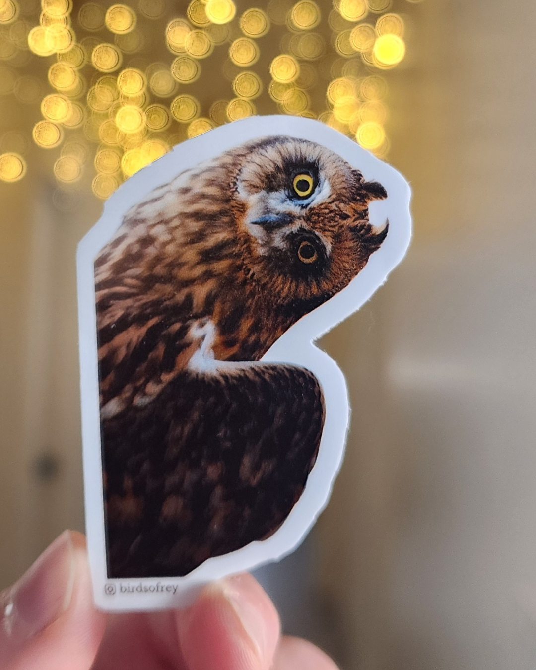 Short-Eared Owl Sticker