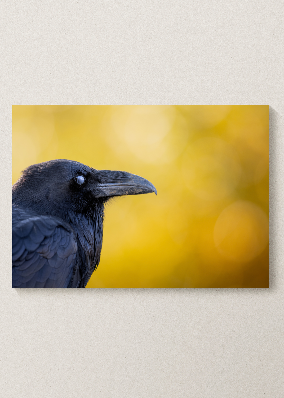 Fall Raven Print