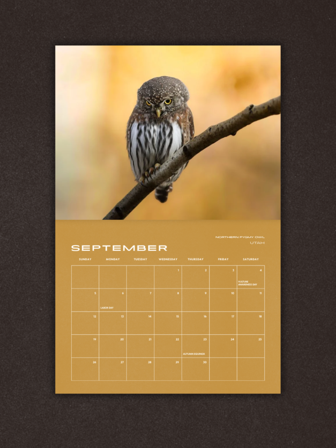 Birds of Prey 2027 Calendar