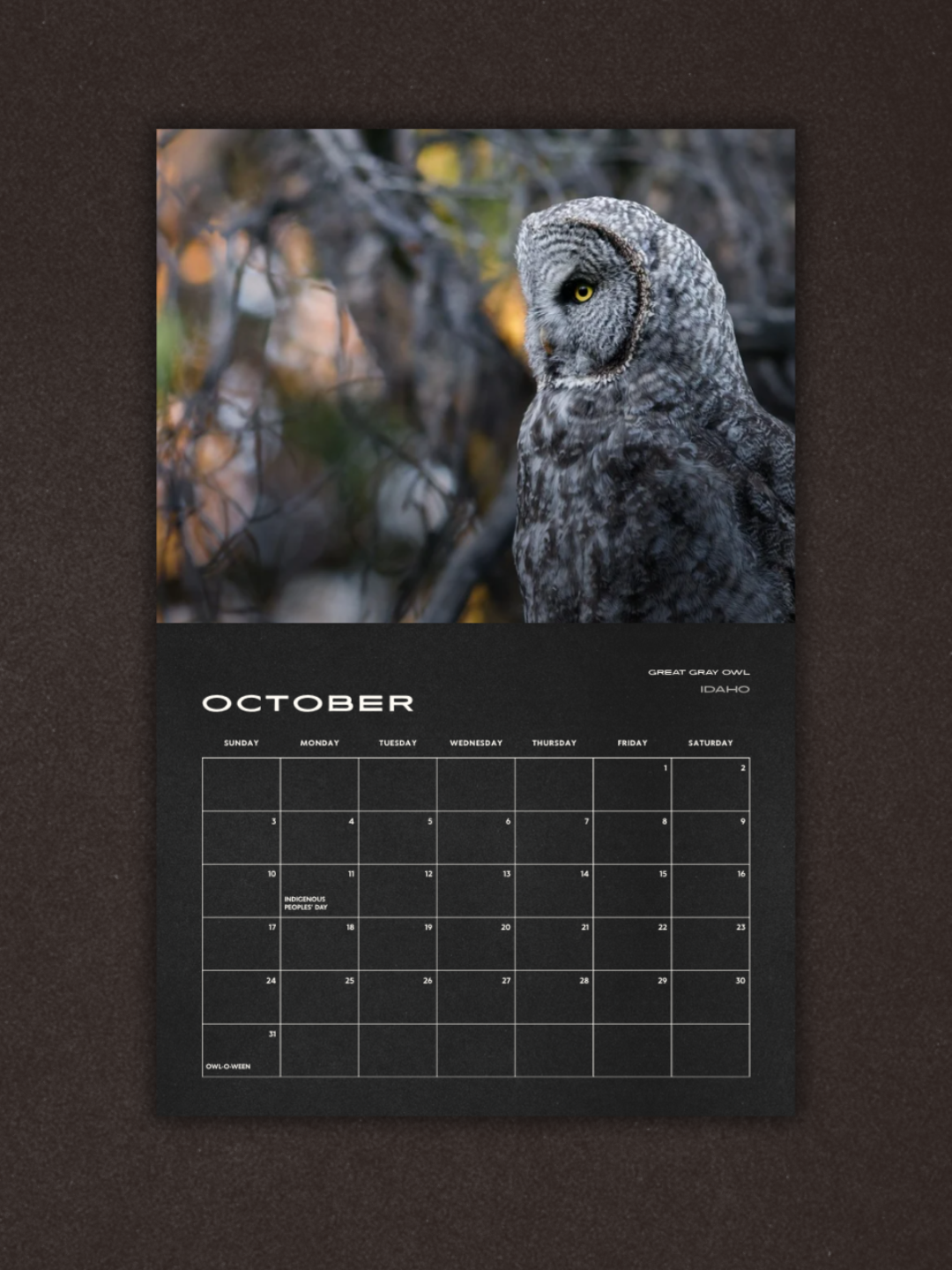 Birds of Prey 2027 Calendar