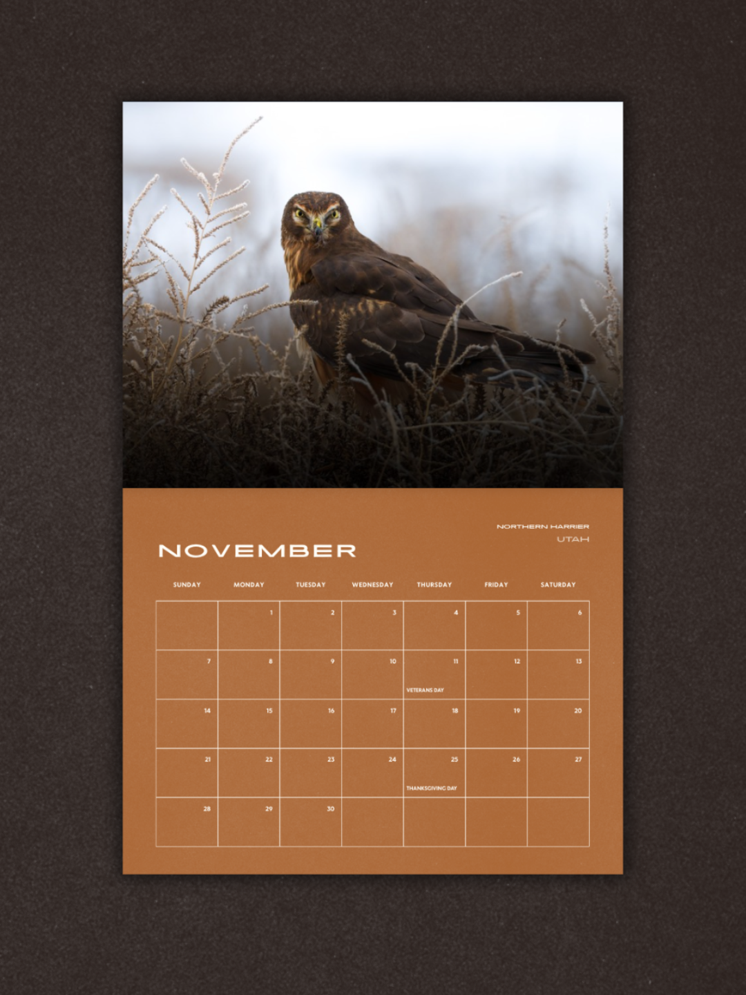 Birds of Prey 2027 Calendar