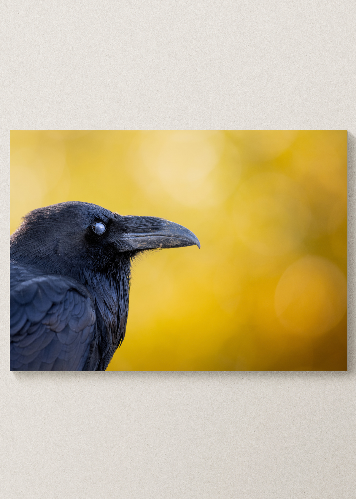 Fall Raven Print