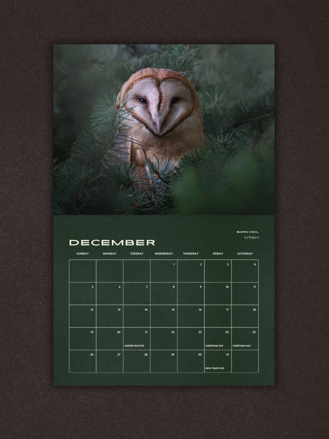 Birds of Prey 2027 Calendar