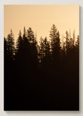 Yellowstone Sunrise Print