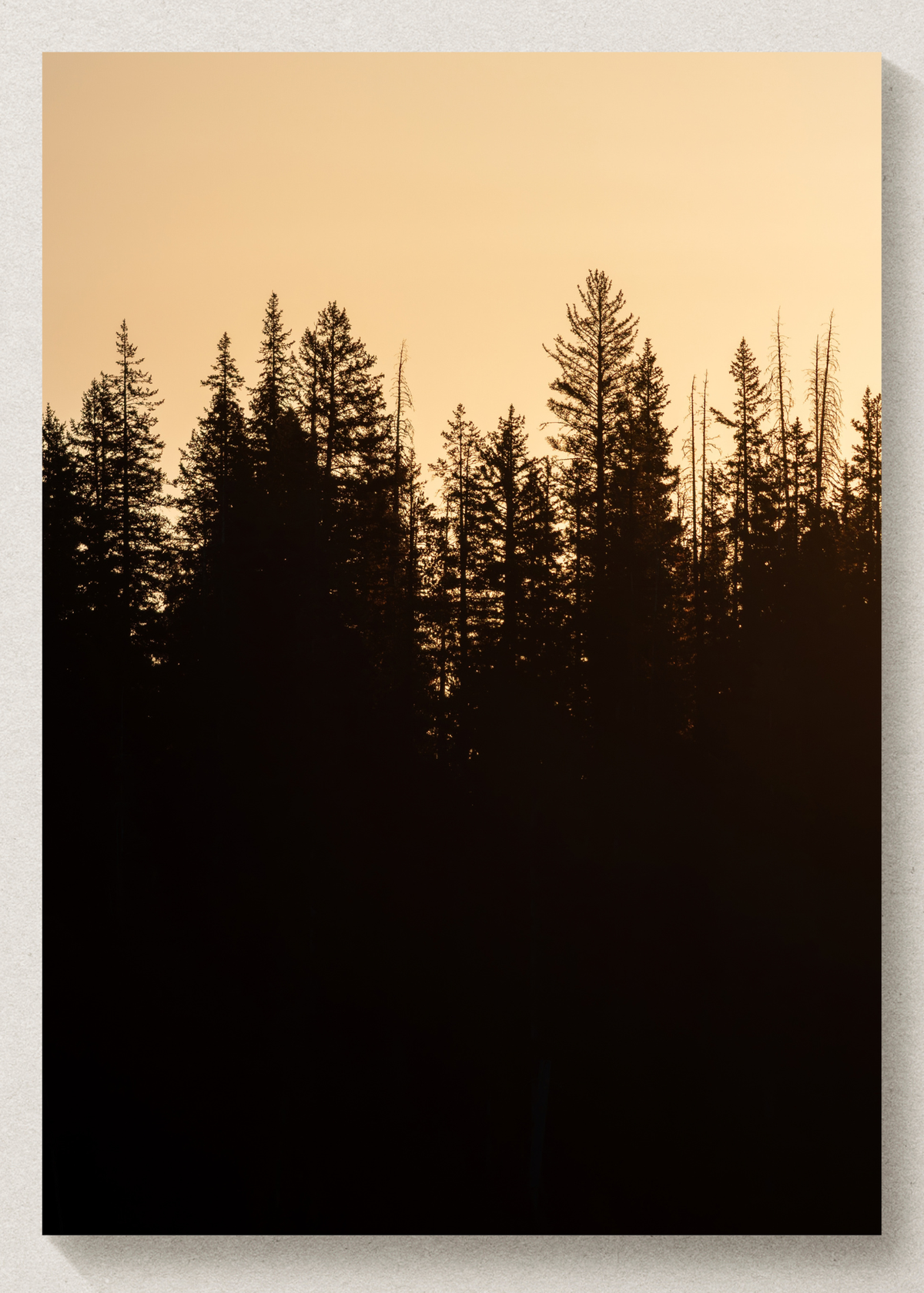 Yellowstone Sunrise Print