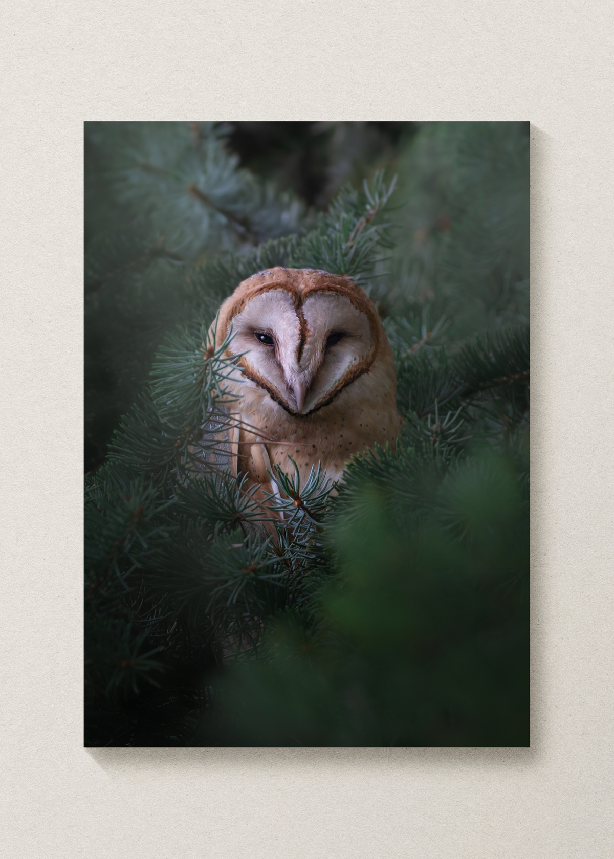 Cozy Barn Owl Print
