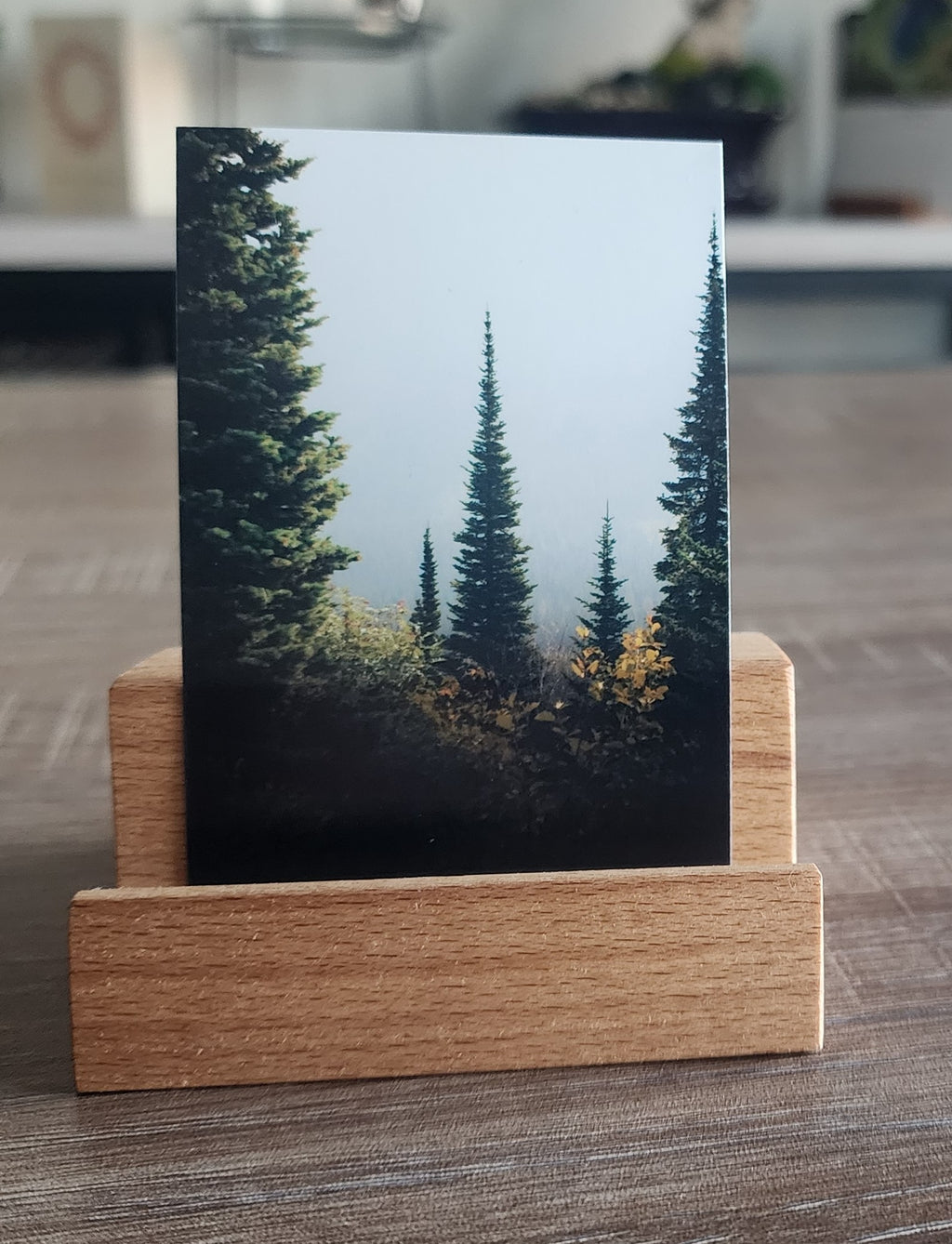 Glacier National Park Mini Print