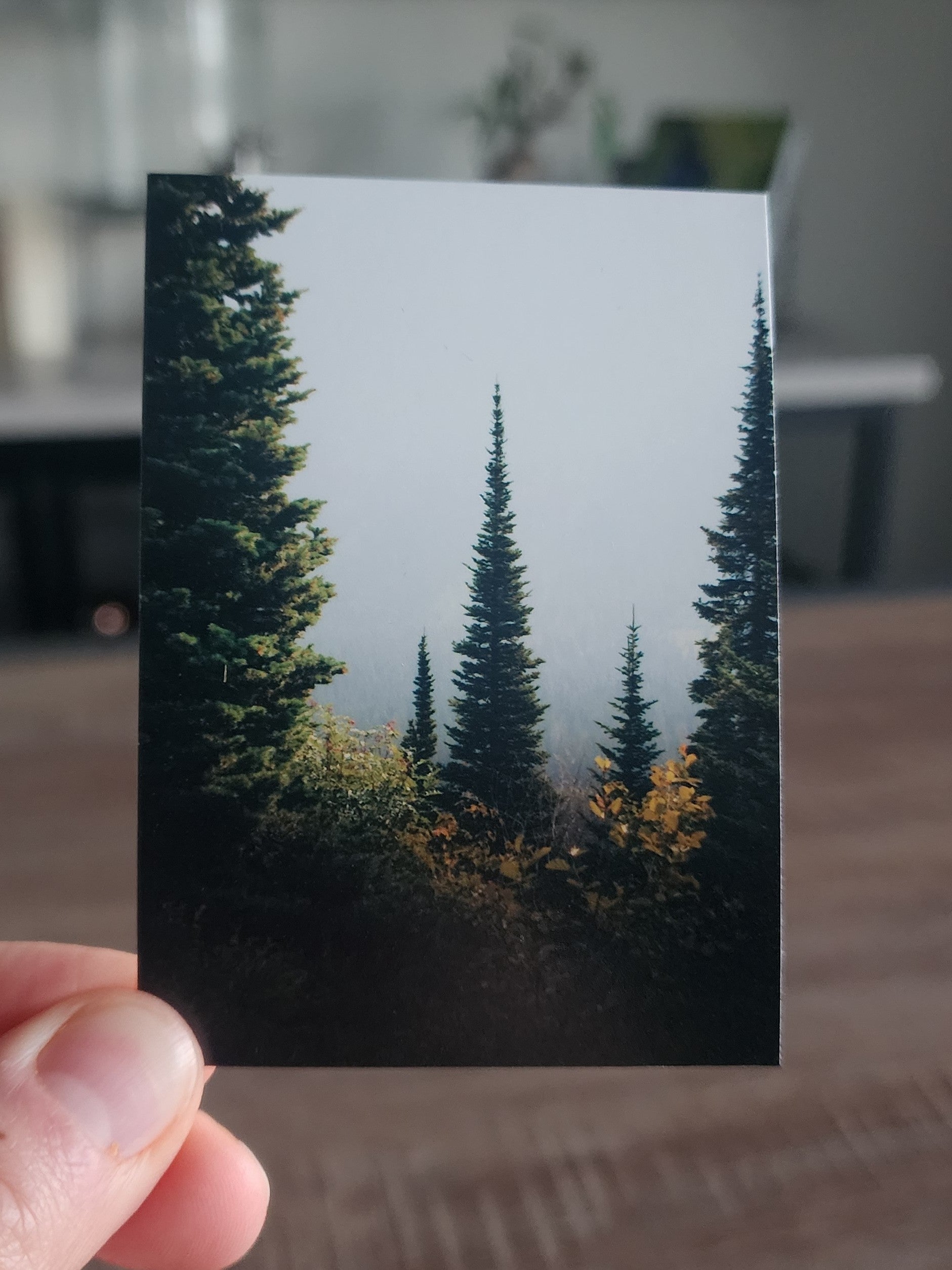 Glacier National Park Mini Print