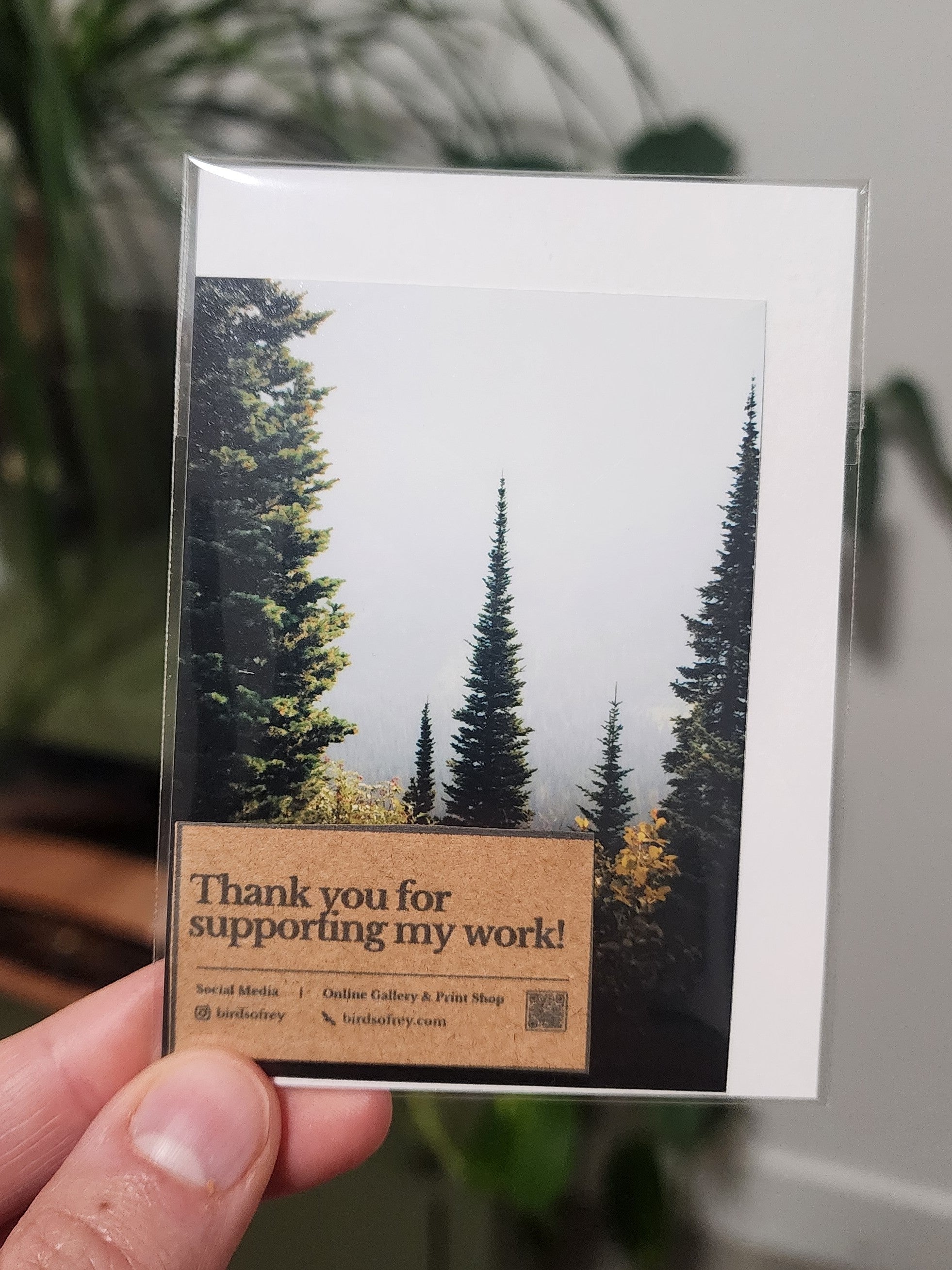 Glacier National Park Mini Print