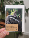 Western Screech Owlet Mini Print