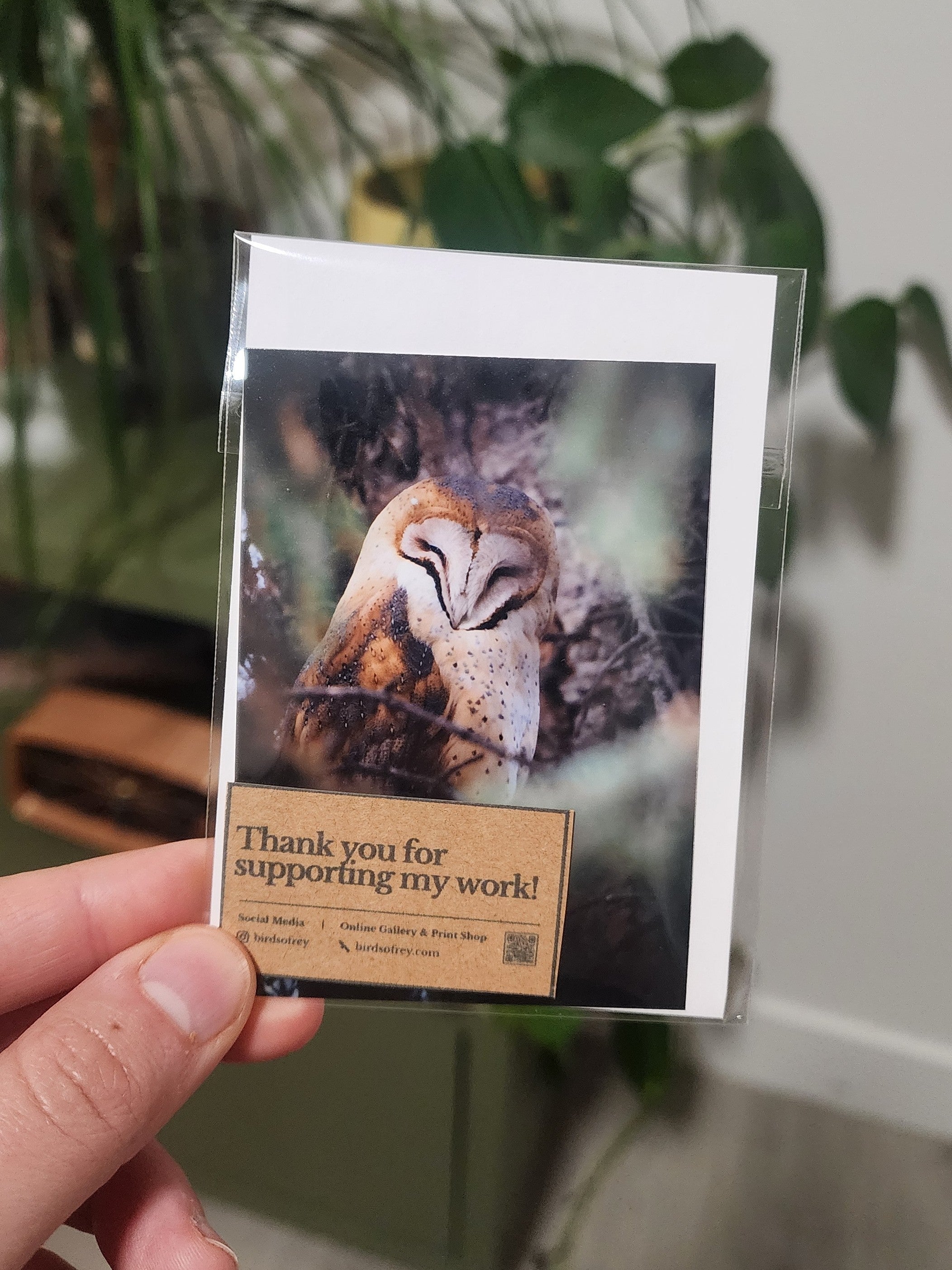 American Barn Owl Mini Print