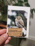 Northern Pygmy Owl Mini Print