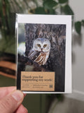 Northern Saw Whet Owl Mini Print