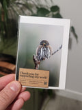 Northern Pygmy Owl Mini Print