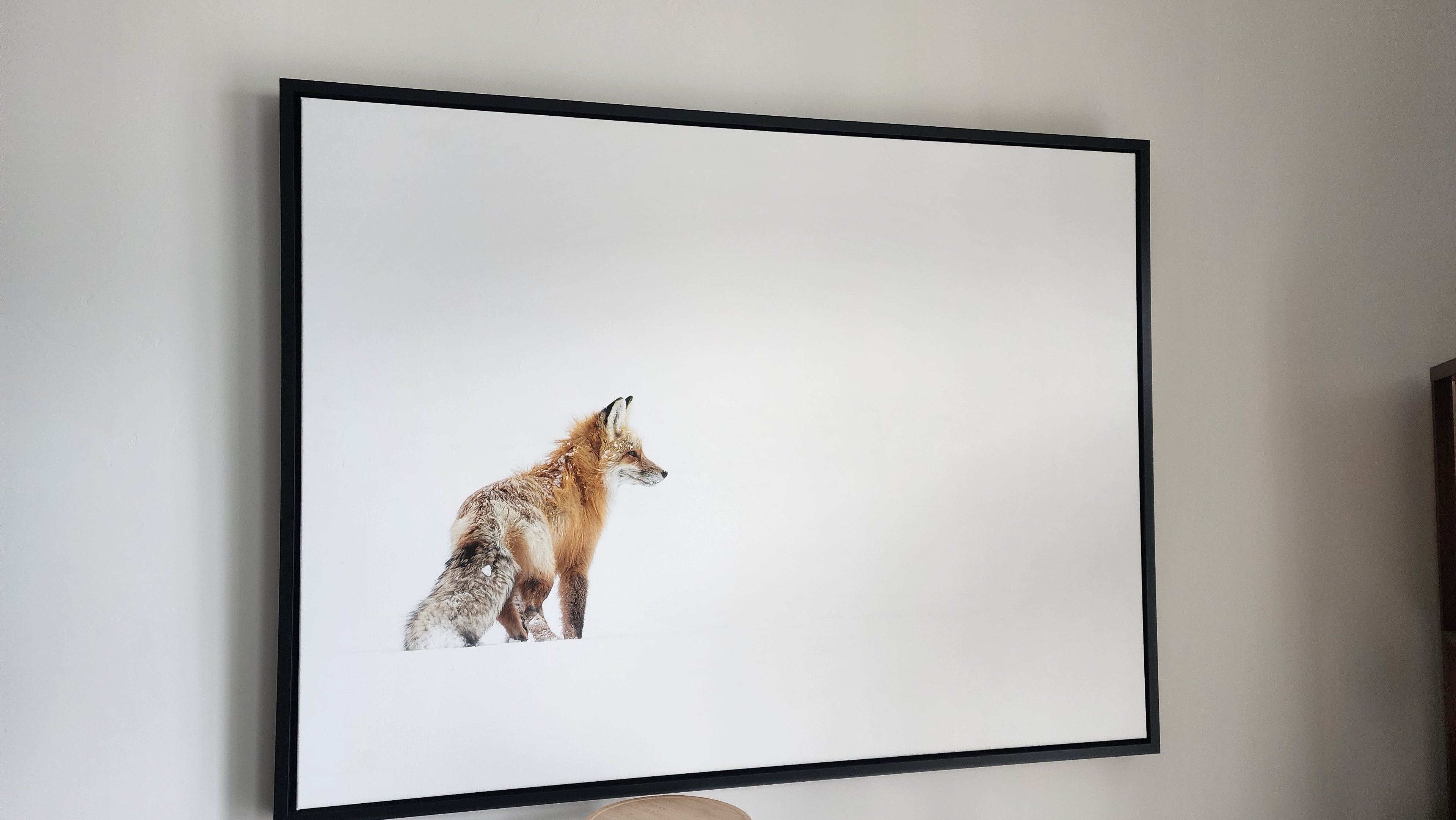 Red Fox in Yellowstone 40x30 Framed Canvas Print