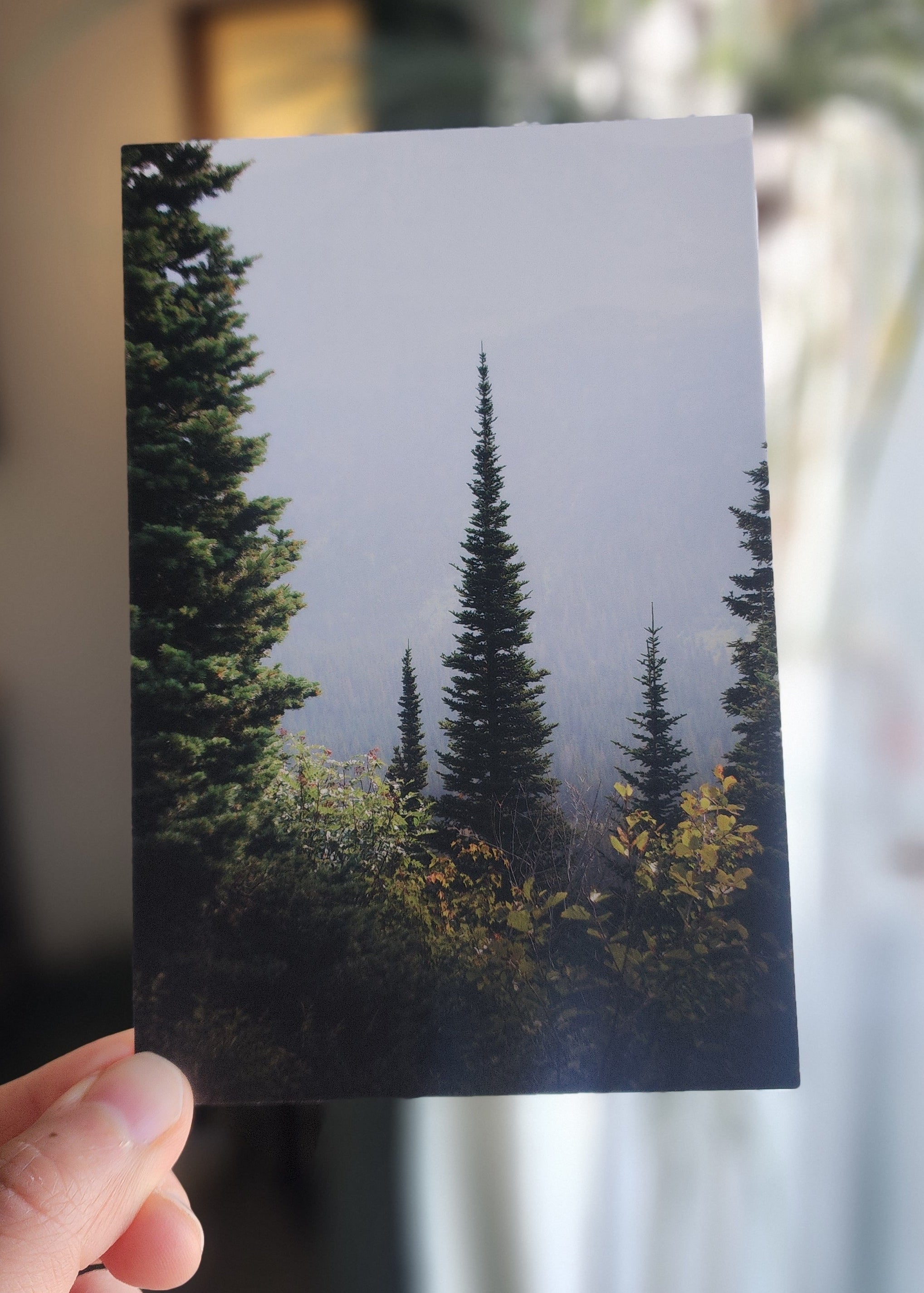 Postcards