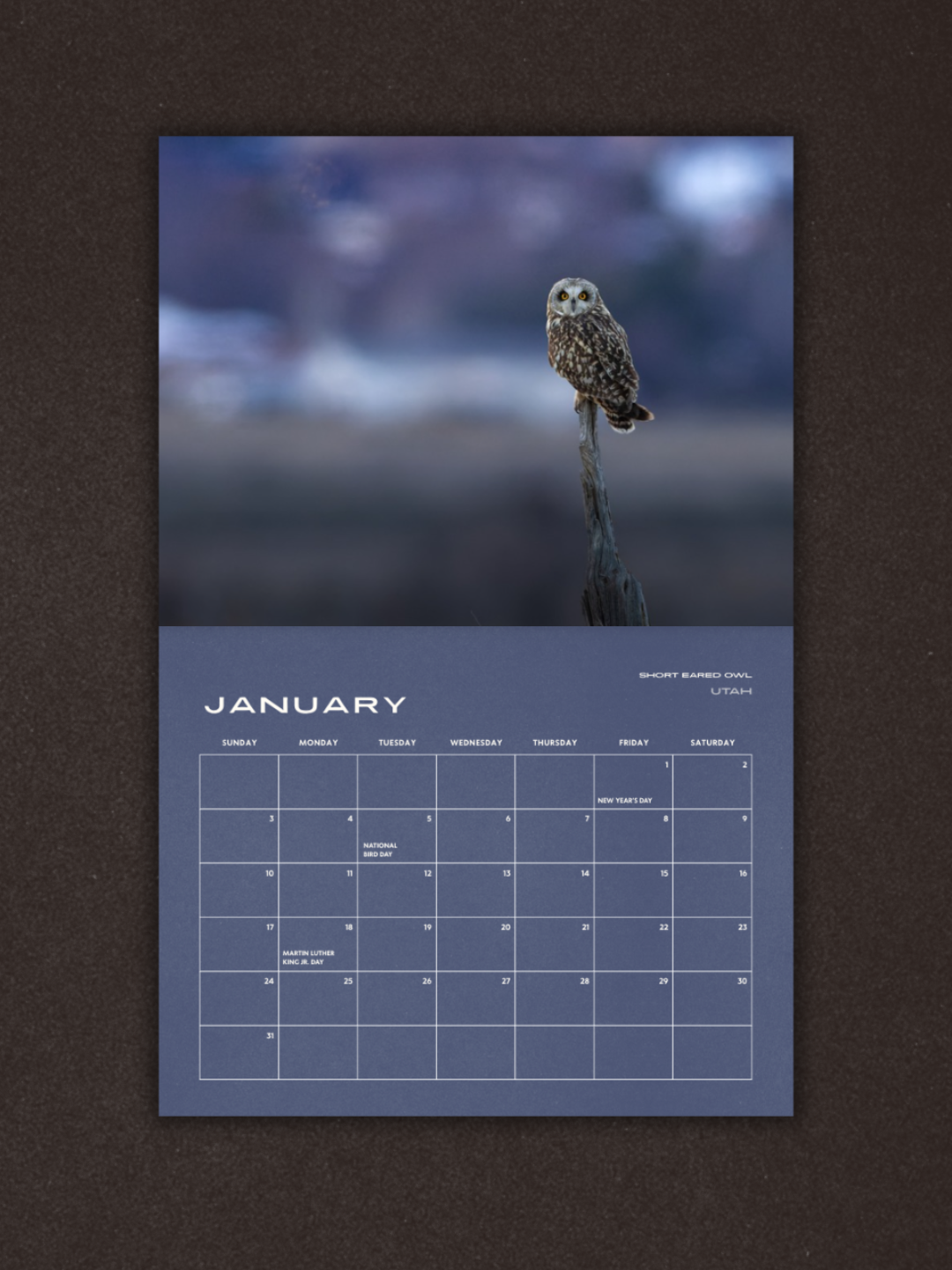Birds of Prey 2027 Calendar