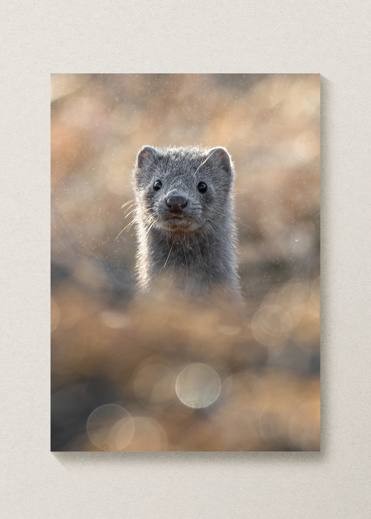 Mink Portrait Print