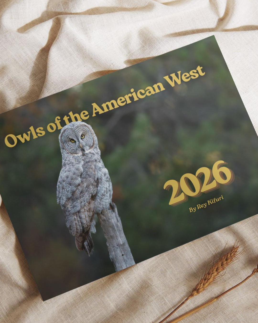 Owls of the American West 2026 Calendar