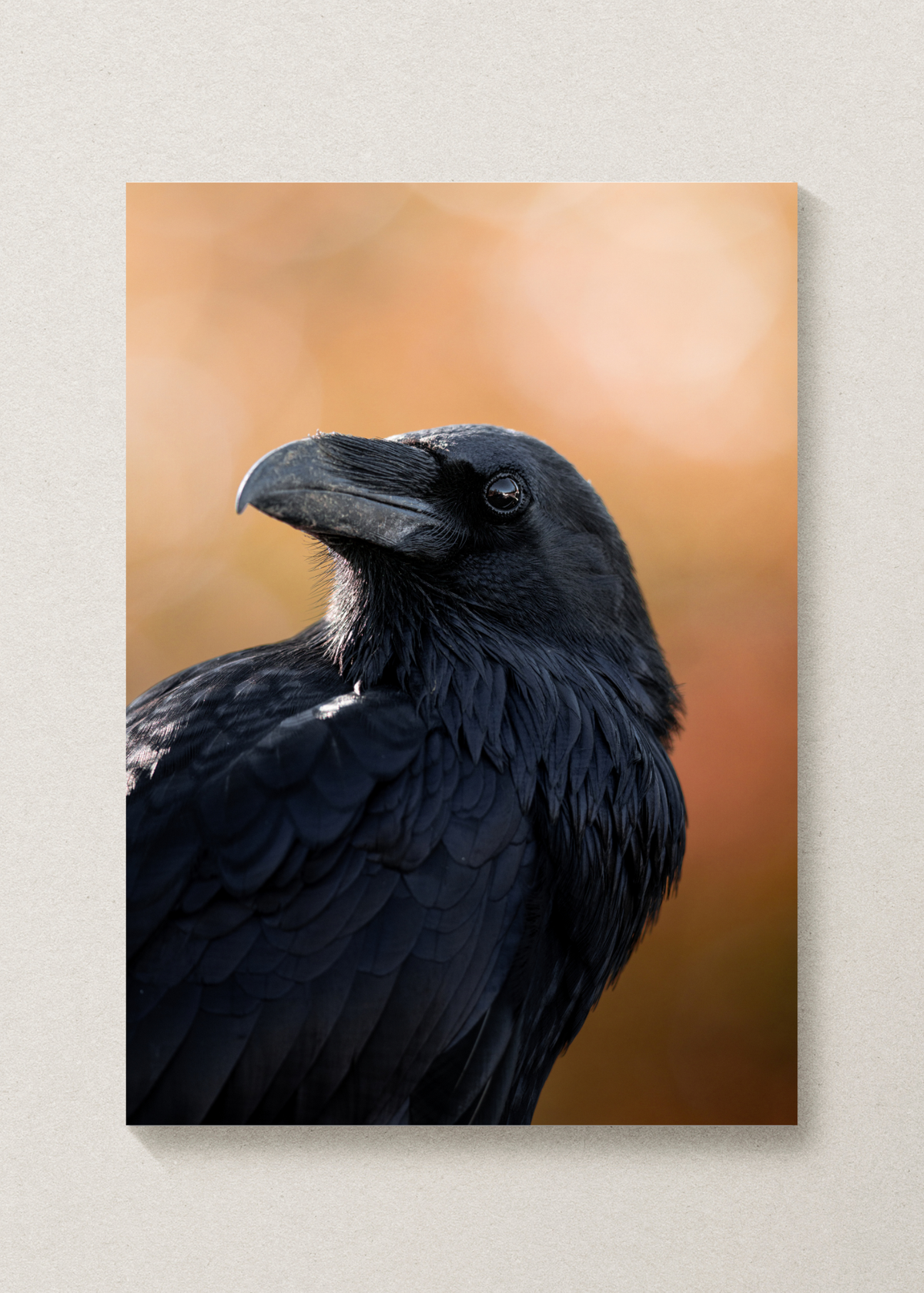October Raven Print
