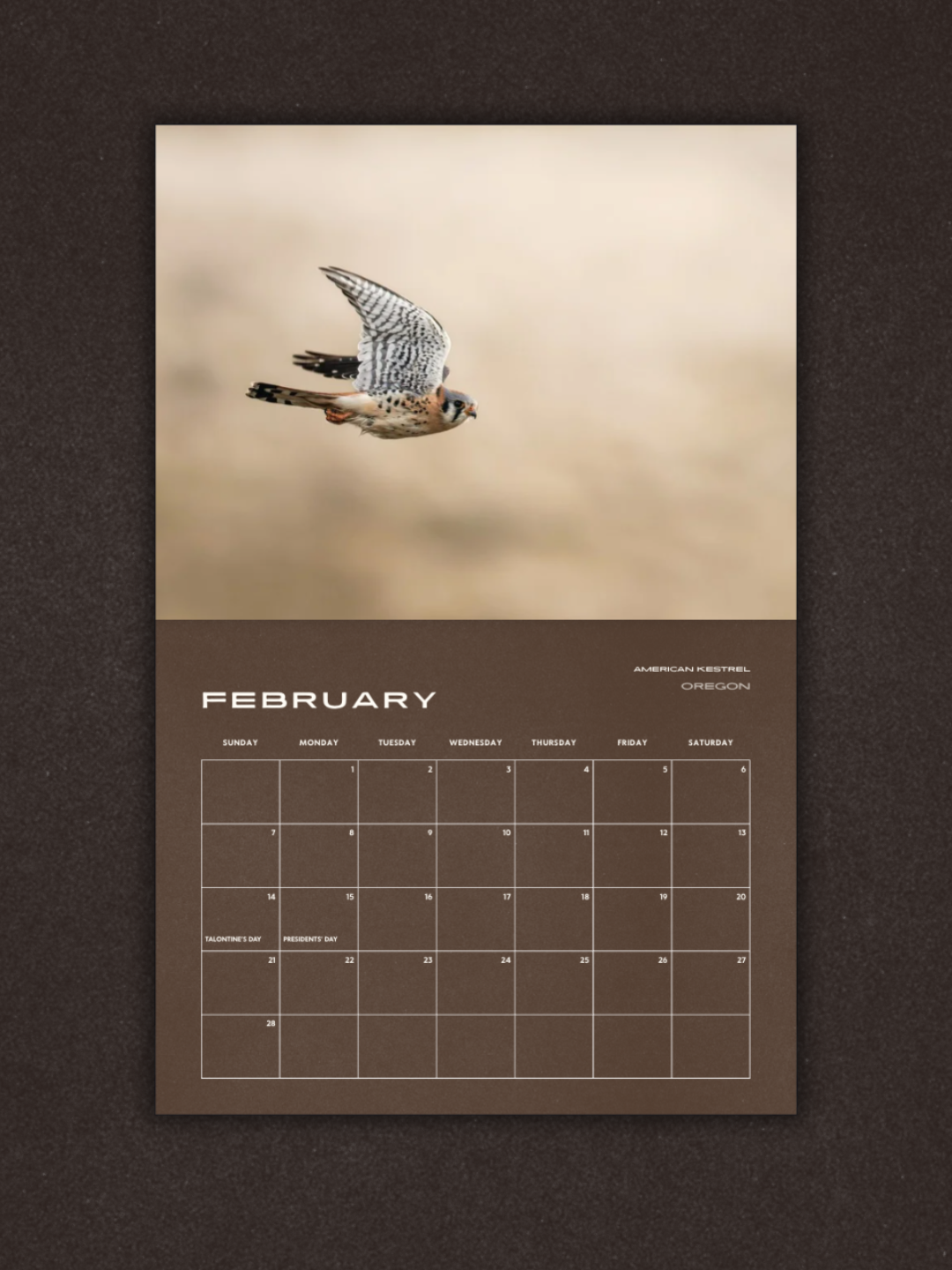 Birds of Prey 2027 Calendar