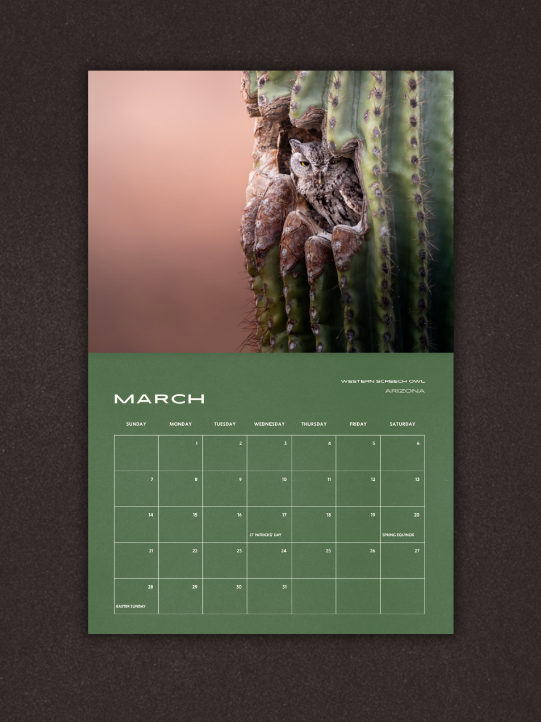 Birds of Prey 2027 Calendar