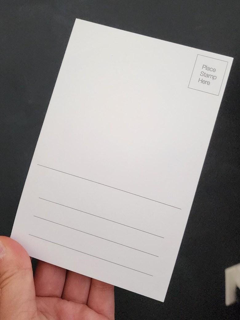 Snowy Raven Postcard