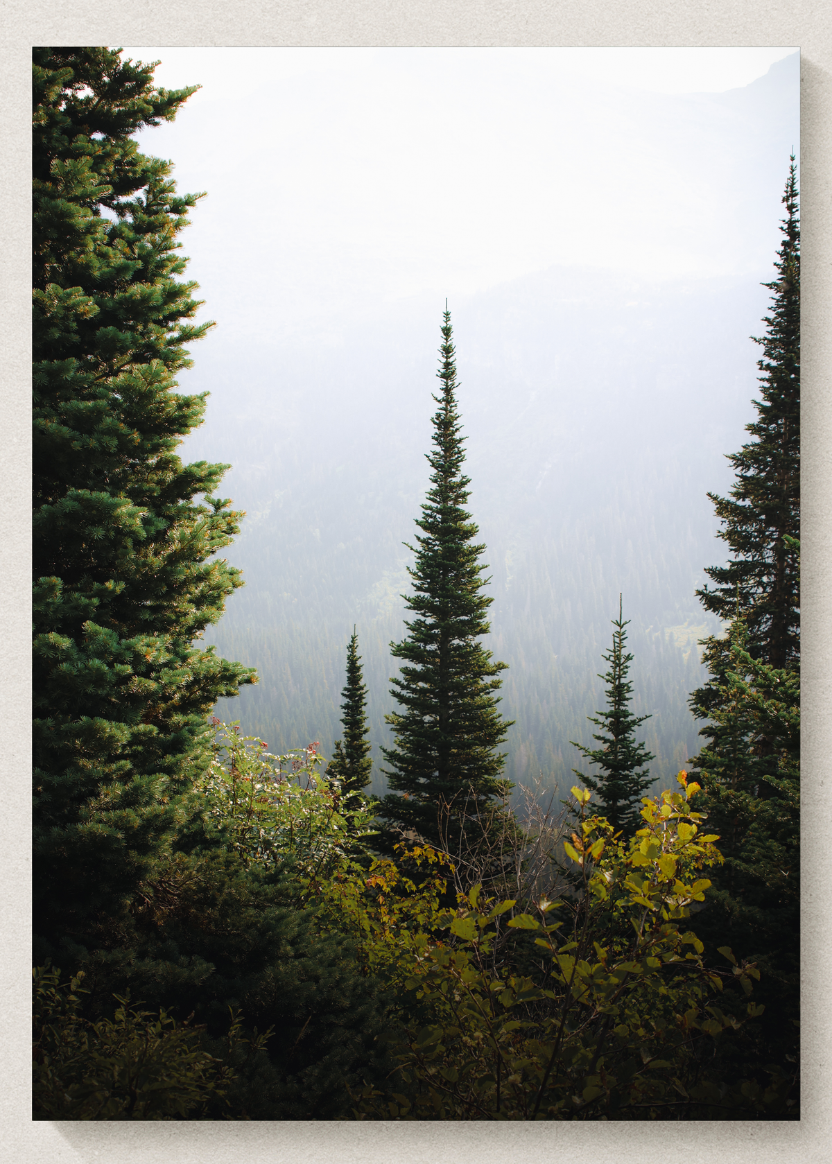 Through The Trees Landscape Print