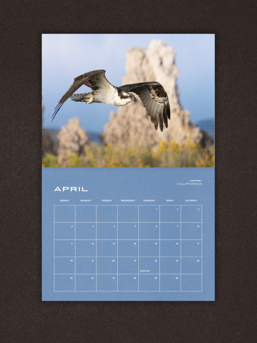 Birds of Prey 2027 Calendar