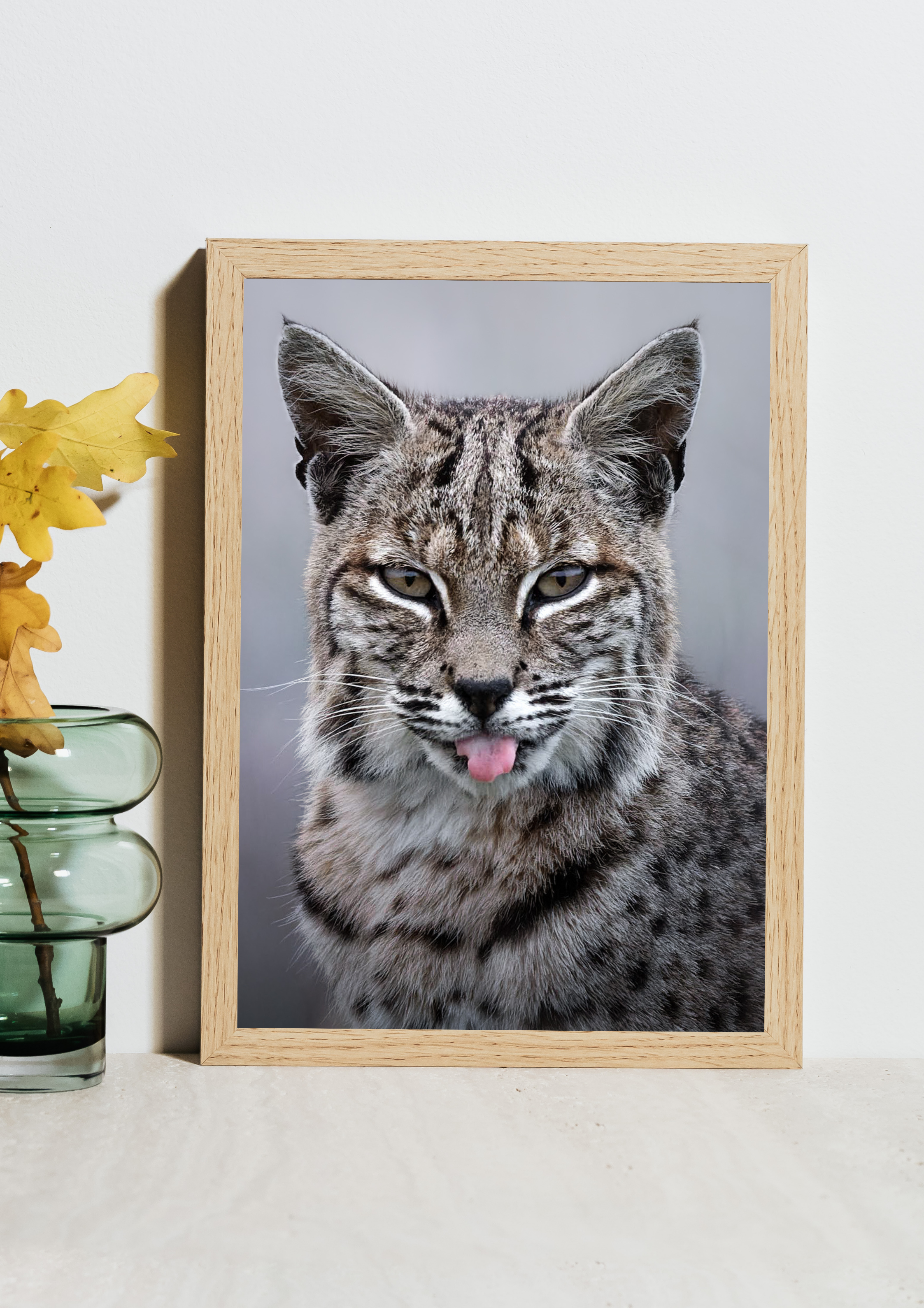 "Blep-Cat" Bobcat Fine Art Print