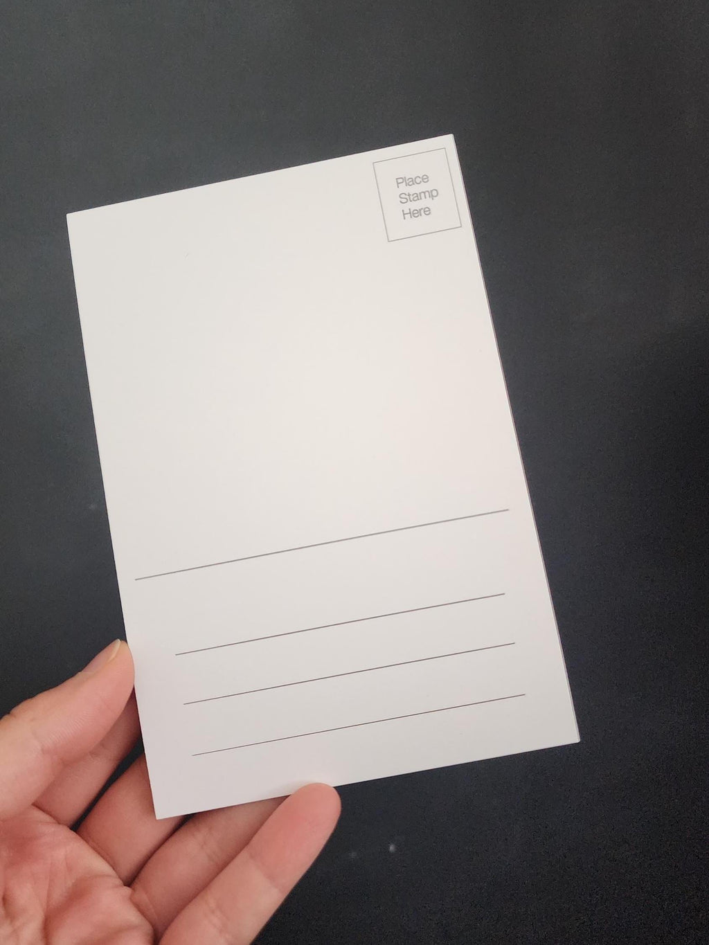 Juvenile Western Screech Owl Postcard