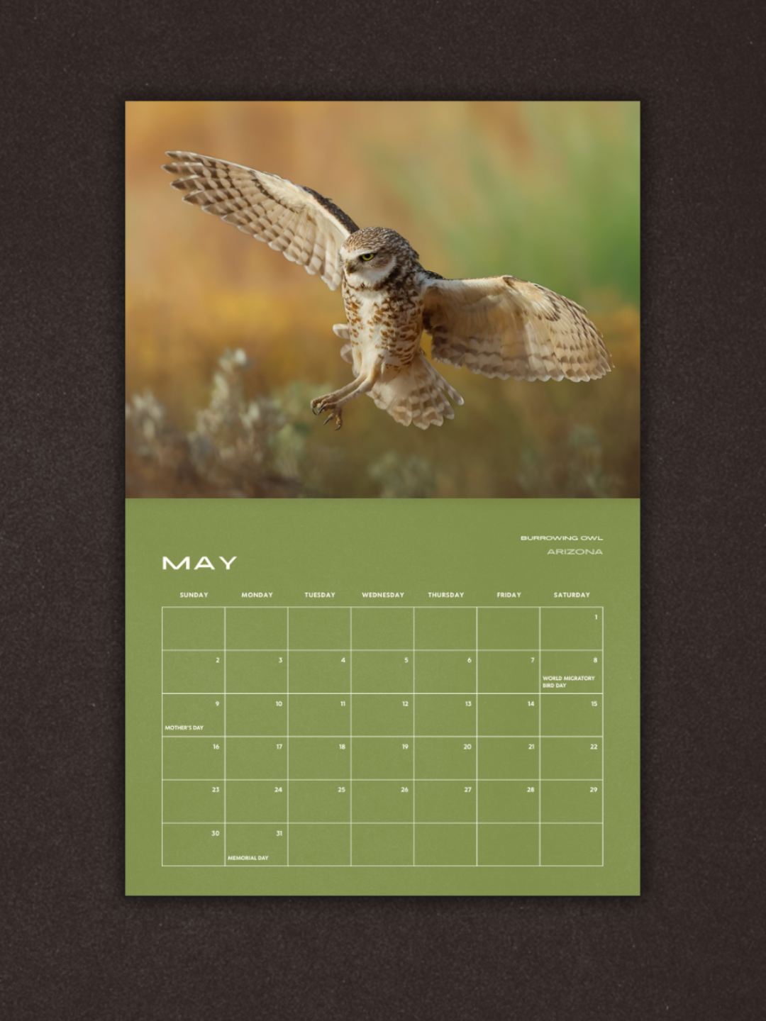 Birds of Prey 2027 Calendar