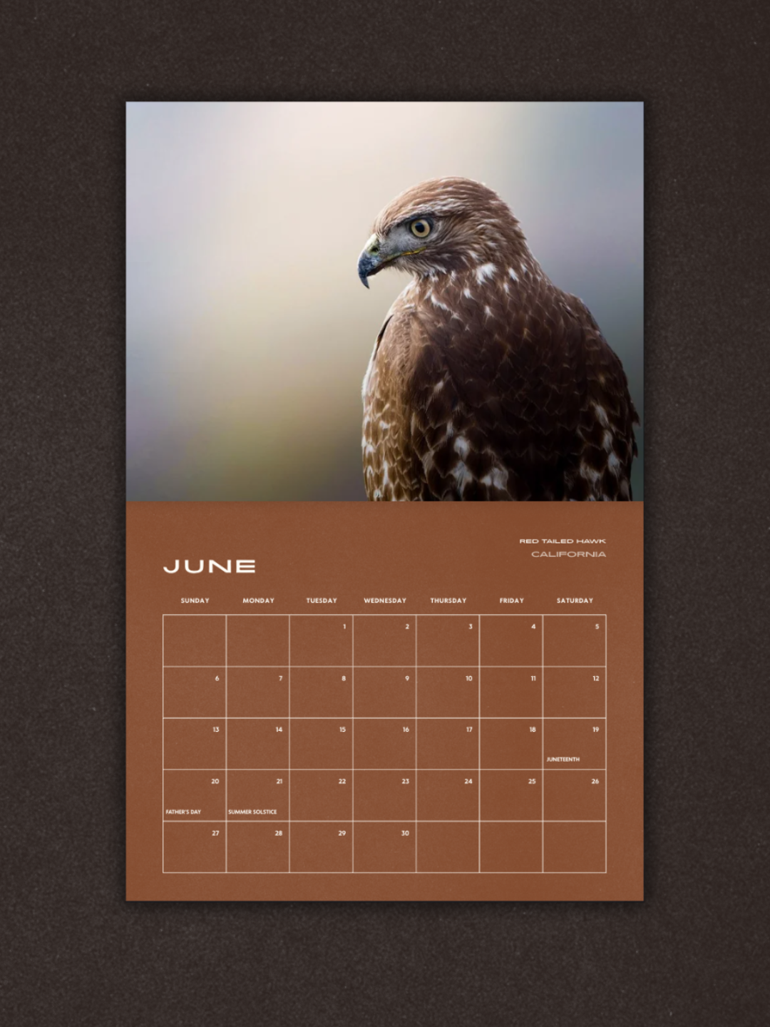 Birds of Prey 2027 Calendar