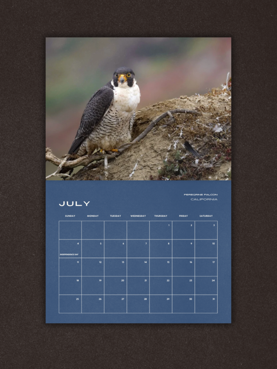 Birds of Prey 2027 Calendar