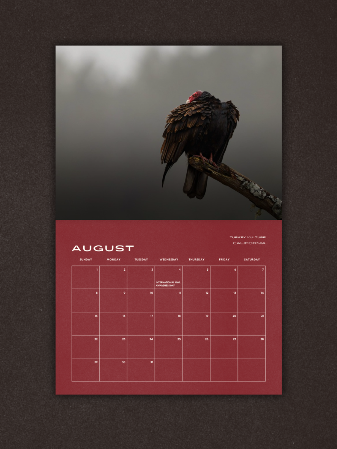 Birds of Prey 2027 Calendar