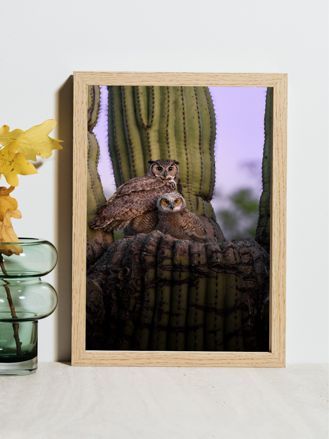 Great Horned Owl Mama & Baby Fine Art Print