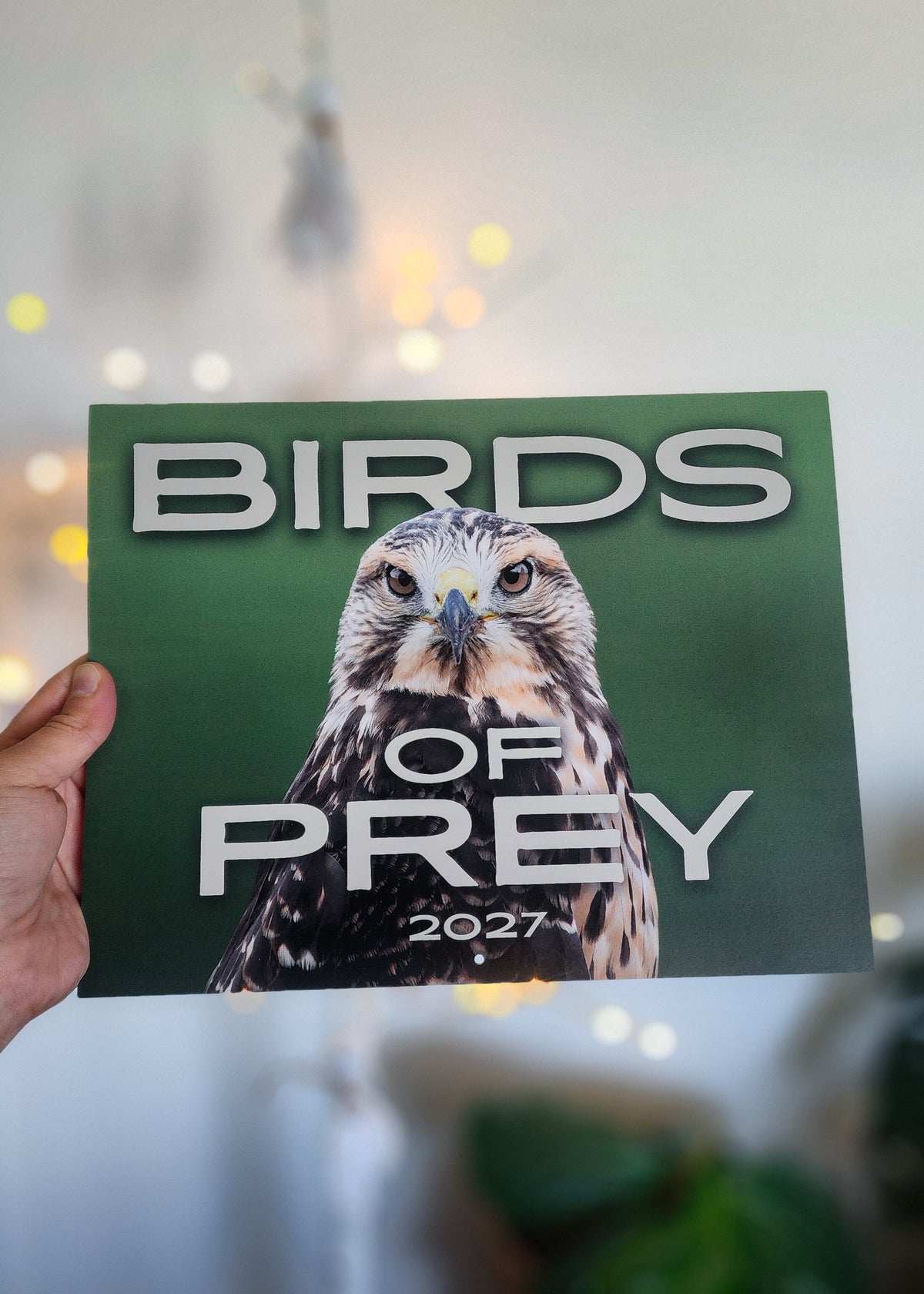 Birds of Prey 2027 Calendar