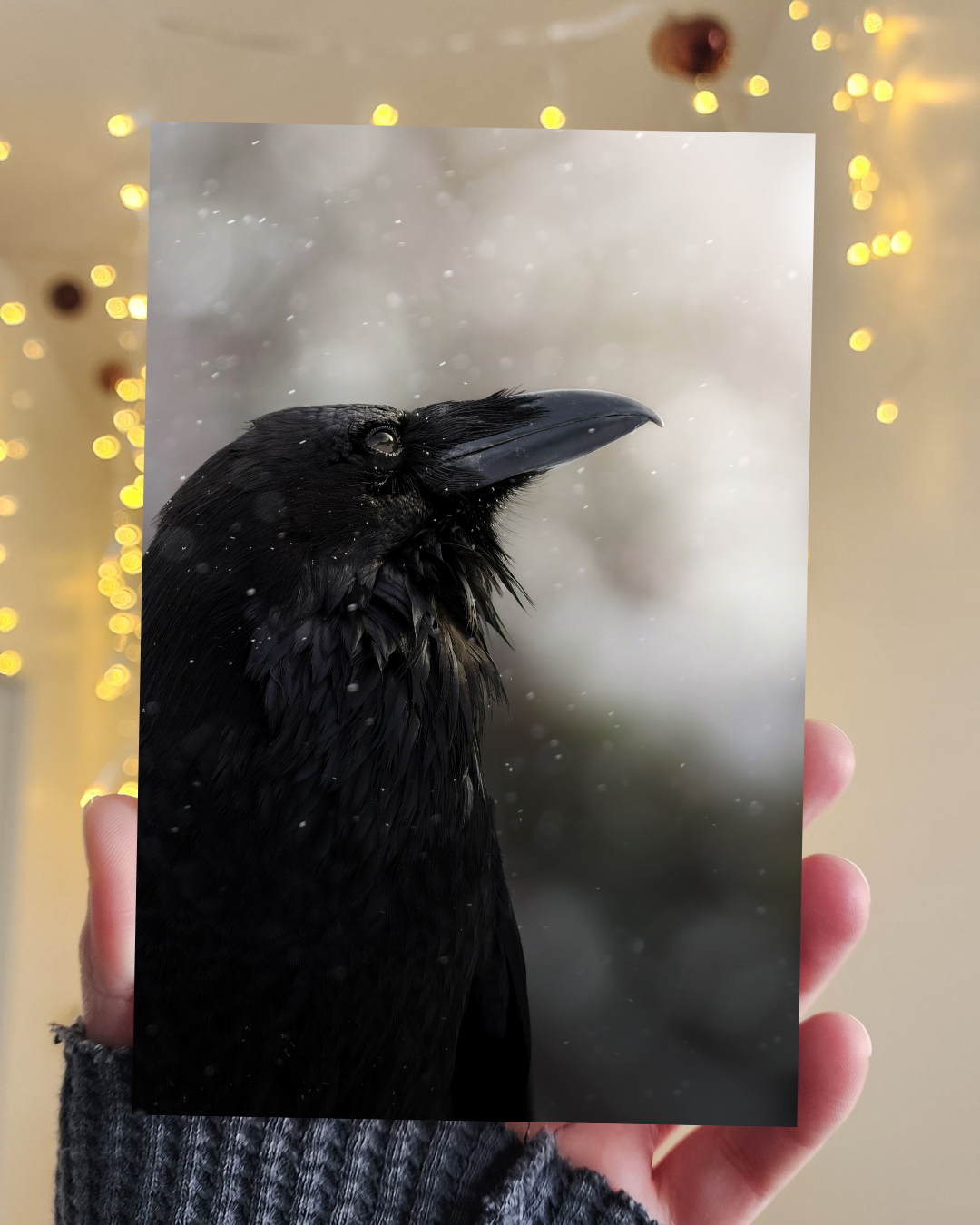 Wild Raven Postcard
