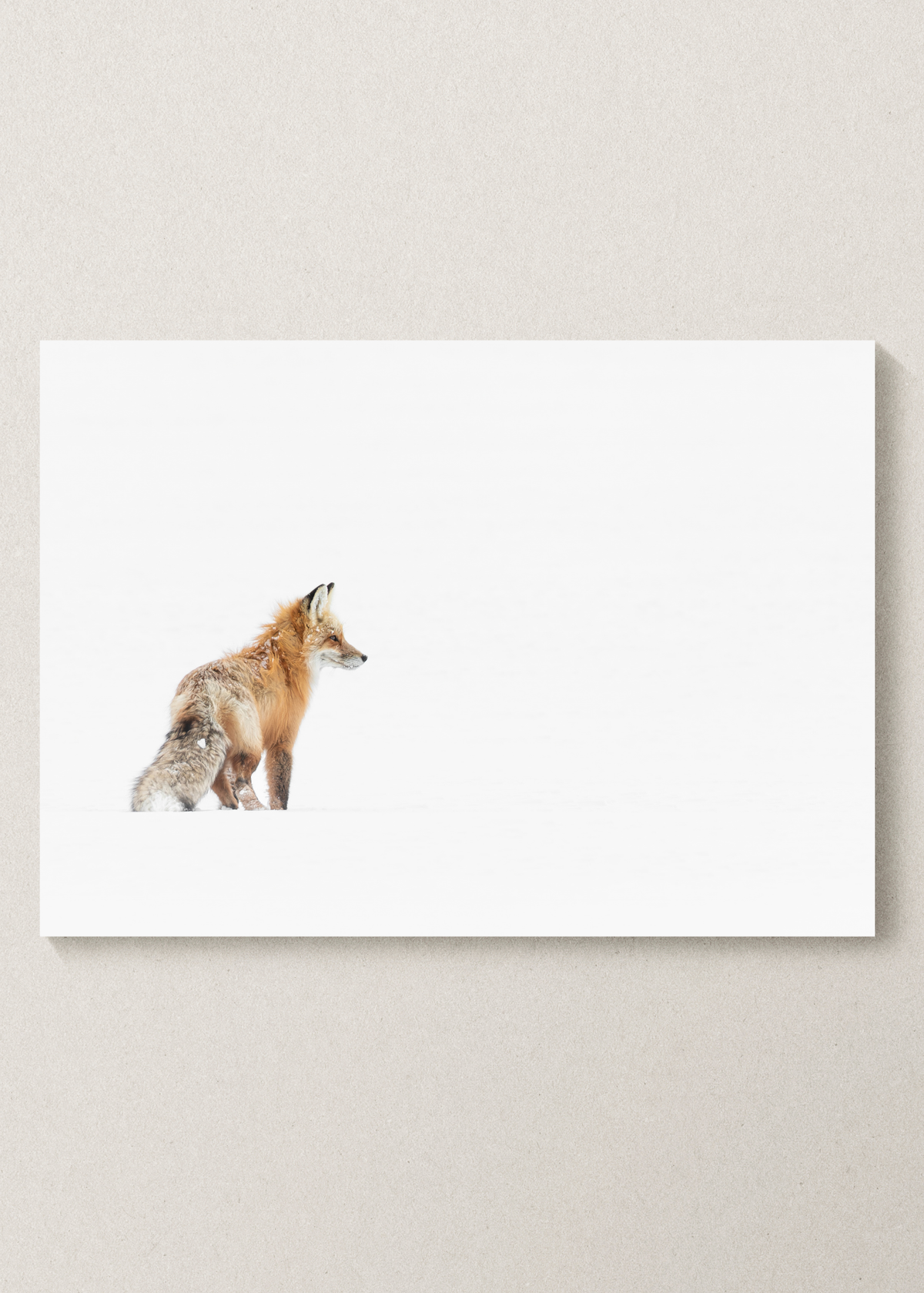 "Way Out" Fox Print