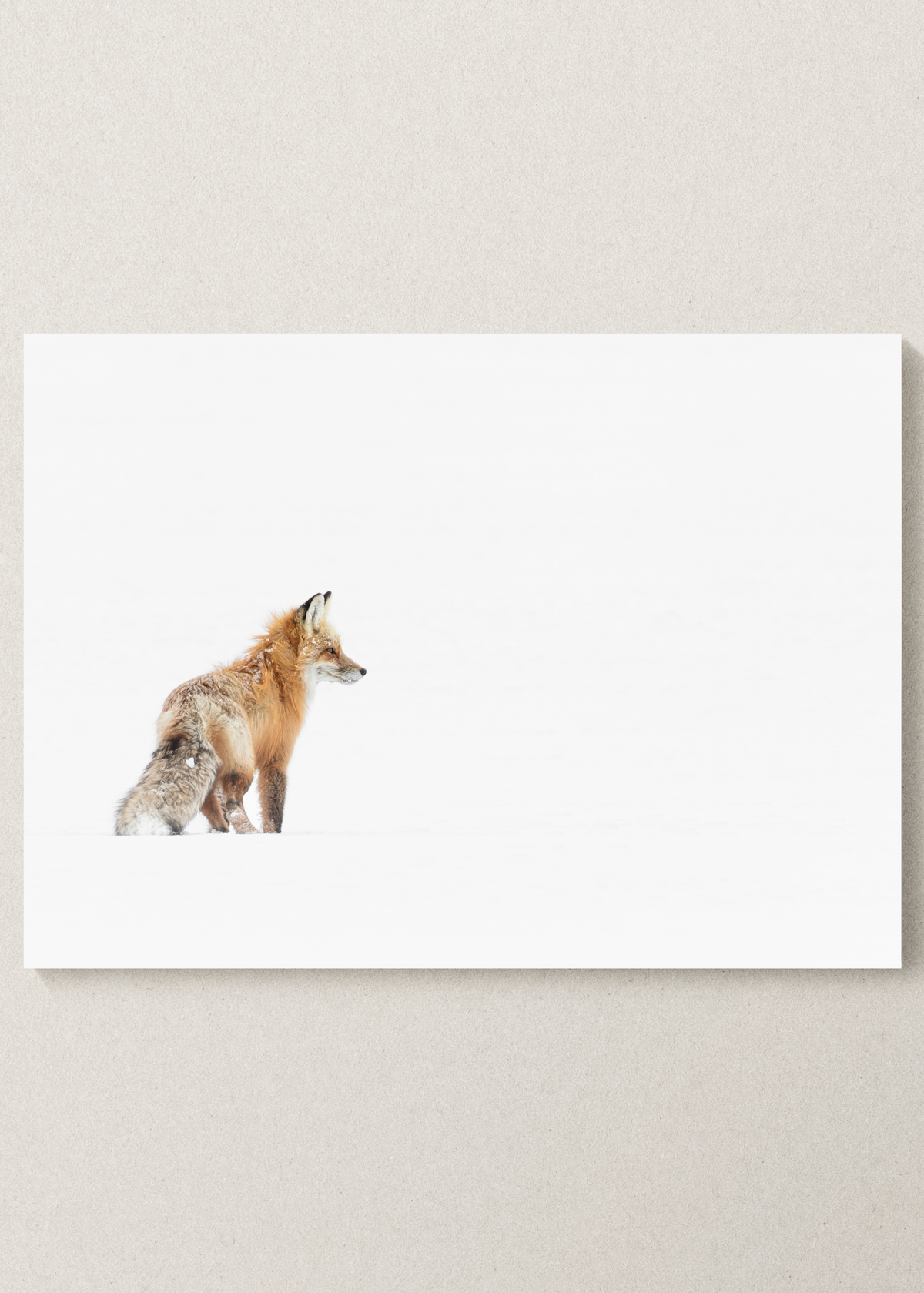 "Way Out" Fox Print