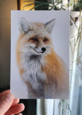 Hand holding a card with a fox photo in front of a blurred indoor background