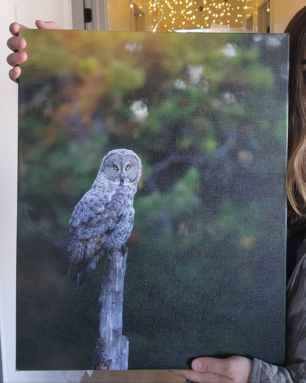 Person holding a painting of a Great Gray owl perched on a branch with a blurred green background.