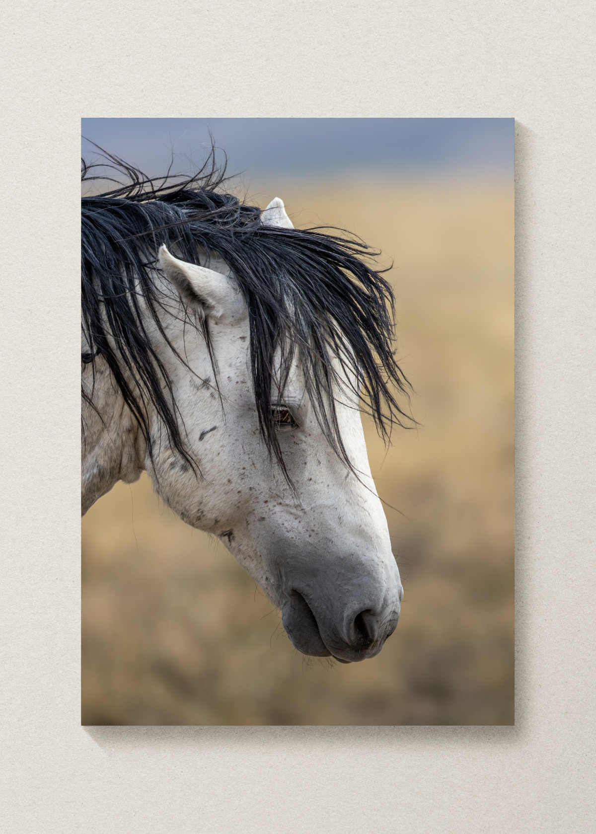 Wild Mustang Portrait Print