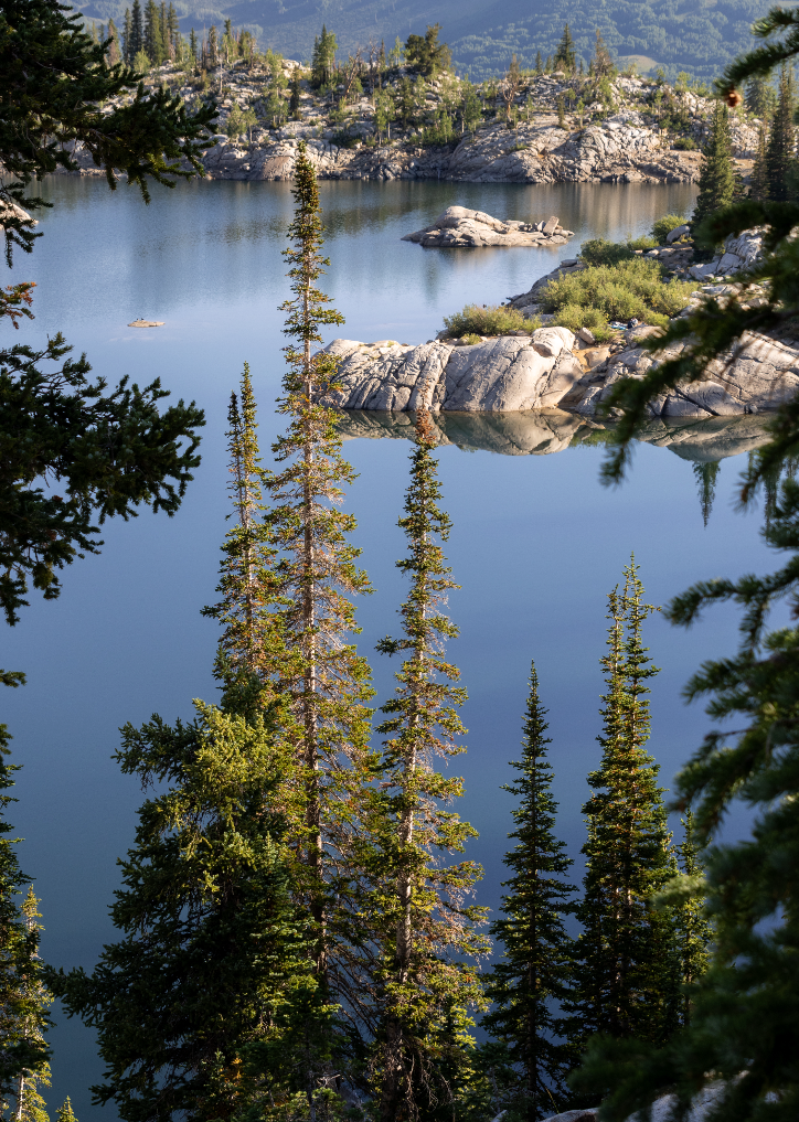 Lake Mary Print