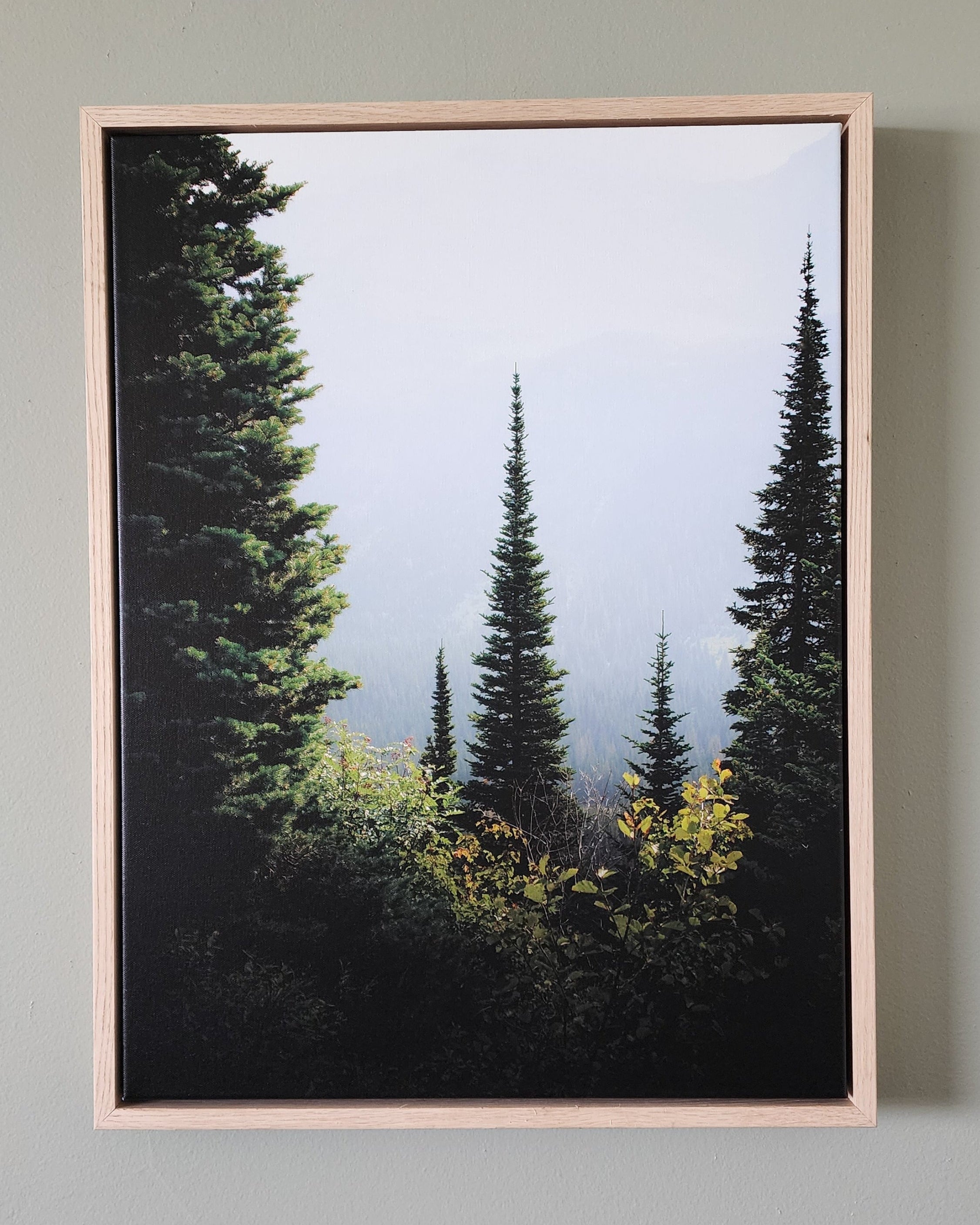 "Through The Trees" Framed Canvas