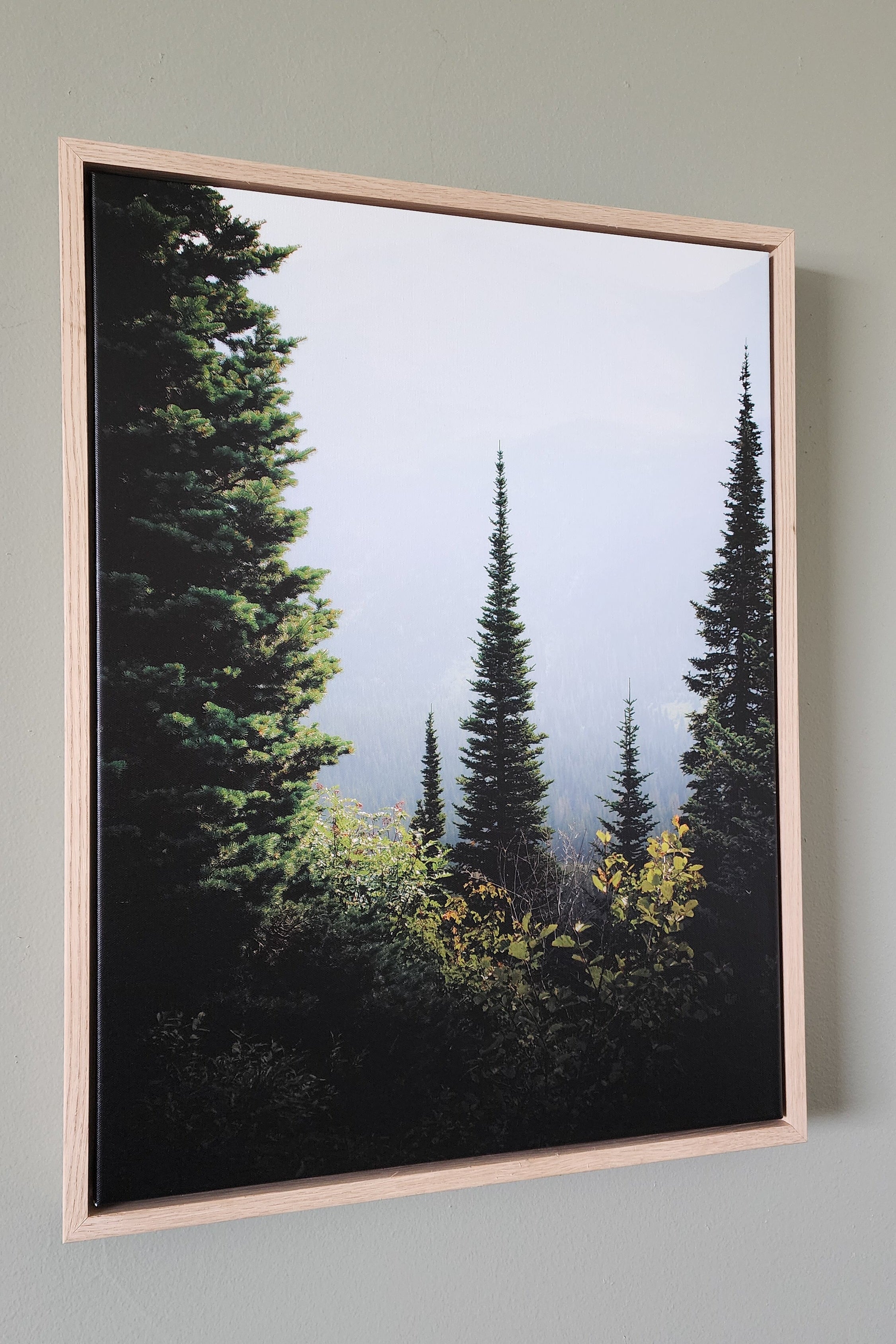 A framed landscape photograph of pine trees in a foggy forest, mounted on a light gray wall.